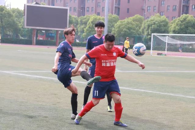 法布雷加斯谈执教与战术理念：重视信念与自由空间
